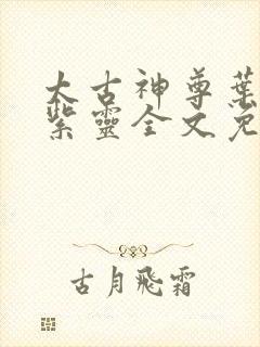 太古神尊叶风叶紫灵全文免费阅读