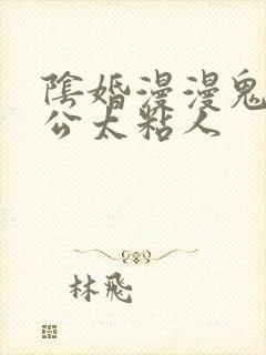 阴婚漫漫鬼夫老公太粘人