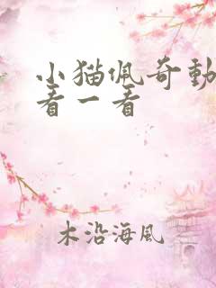小猫佩奇动画片看一看 小猫佩奇动画片看一看