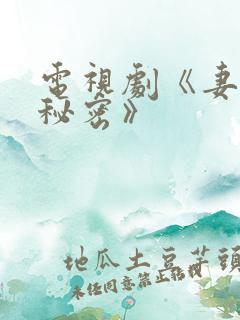 电视剧《妻子的秘密》