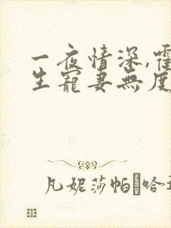 一夜情深,霍先生宠妻无度 小说完整
