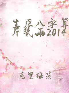 生辰八字算命几斤几两2014年