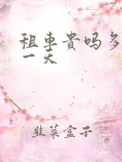 租车贵吗多少钱一天