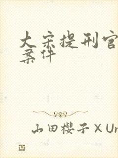大宋提刑官杨易案件