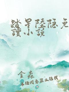 踏星陆隐免费阅读小说