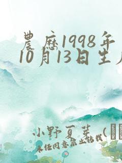 农历1998年10月13日生辰八字