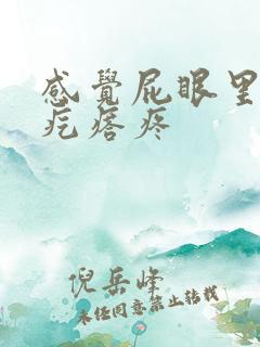 感觉屁眼里有个疙瘩疼