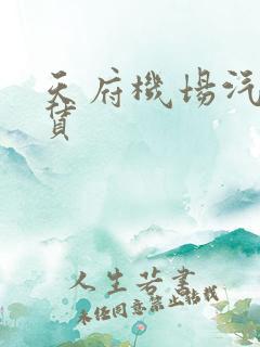 天府机场汽车租赁