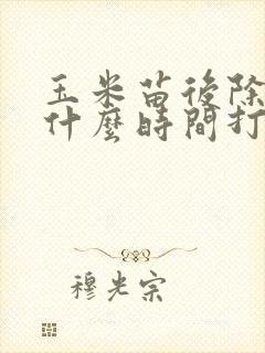 玉米苗后除草剂什么时间打