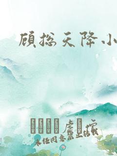 顾总天降小萌妻