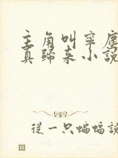主角叫宁尘的修真归来小说