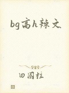 bg高h辣文