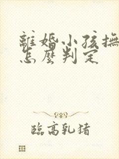 离婚小孩抚养权怎么判定