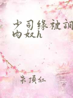 少司缘被调教成肉奴h
