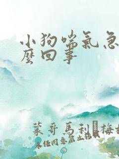 小狗喘气急促怎么回事