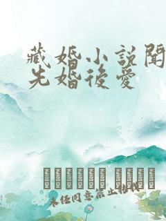 藏婚小说闻落叶先婚后爱