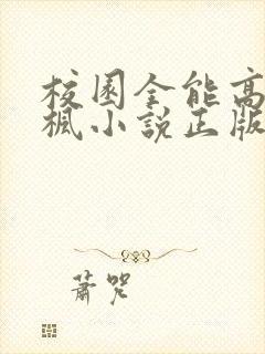 校园全能高手季枫小说正版