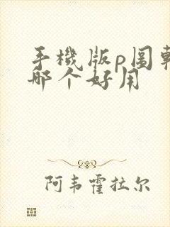 手机版p图软件哪个好用