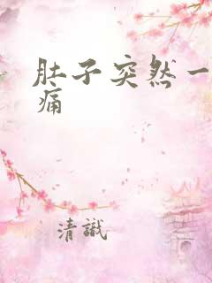 肚子突然一阵刺痛