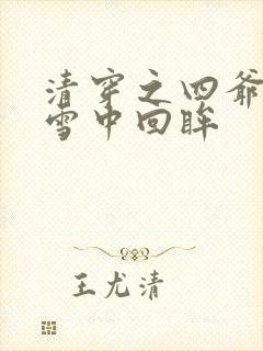 清穿之四爷宠妃雪中回眸