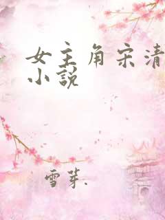 女主角宋清语的小说