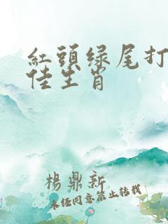 红头绿尾打一最佳生肖