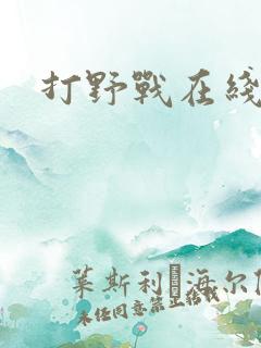 打野战在线