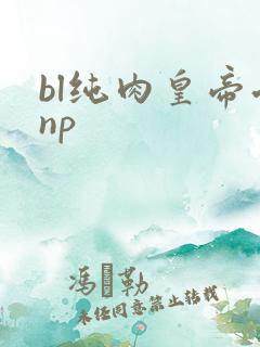 bl纯肉皇帝受np