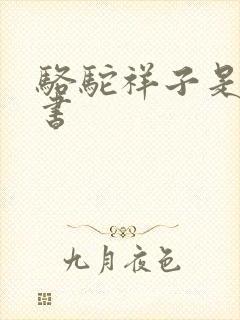 骆驼祥子是什么书