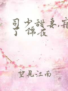 司少甜妻,宠定了 锦夜