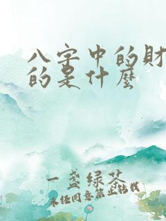 八字中的财库指的是什么