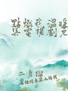 点燃我温暖你全集电视剧免费观看