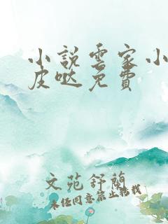 小说云家小九超皮哒免费