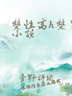 双性高h双男主小说