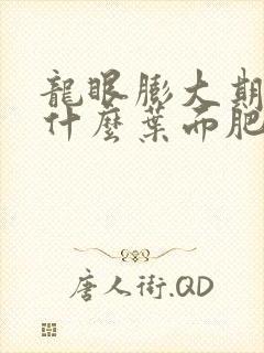 龙眼膨大期使用什么叶面肥