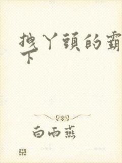 拽丫头的霸道殿下