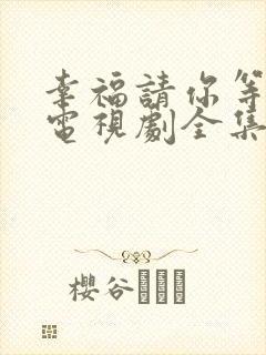 幸福请你等等我电视剧全集免费观看演员表