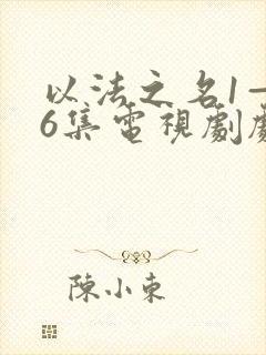 以法之名1—36集电视剧剧情介绍