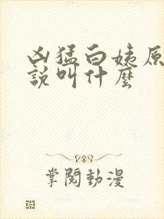 凶猛白姨原著小说叫什么
