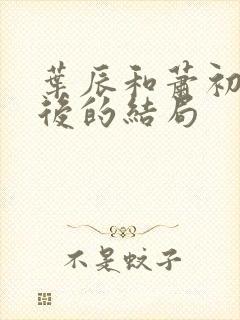 叶辰和萧初然最后的结局