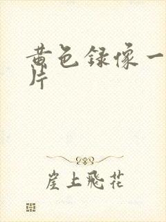 黄色录像一级一片