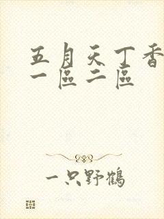五月天丁香婷婷一区二区