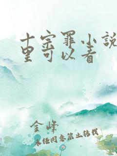 十宗罪小说在哪里可以看