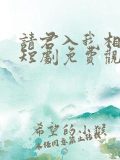 请君入我相思局短剧免费观看