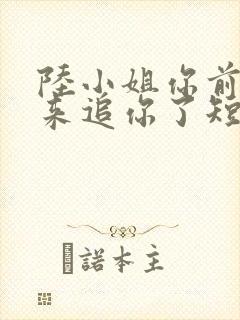 陆小姐你前夫又来追你了短剧