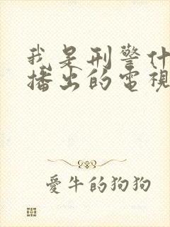 我是刑警什么台播出的电视剧