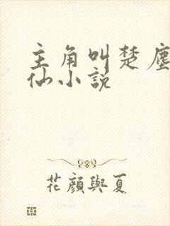 主角叫楚尘的修仙小说