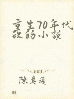 重生70年代从政的小说
