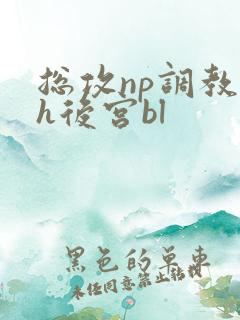 总攻np调教高h后宫bl