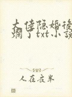 大佬隐婚后我摆烂了txt小说